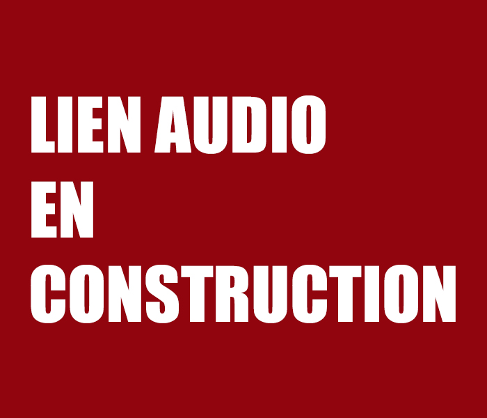 Dubbing & voice over for film, serie and animation